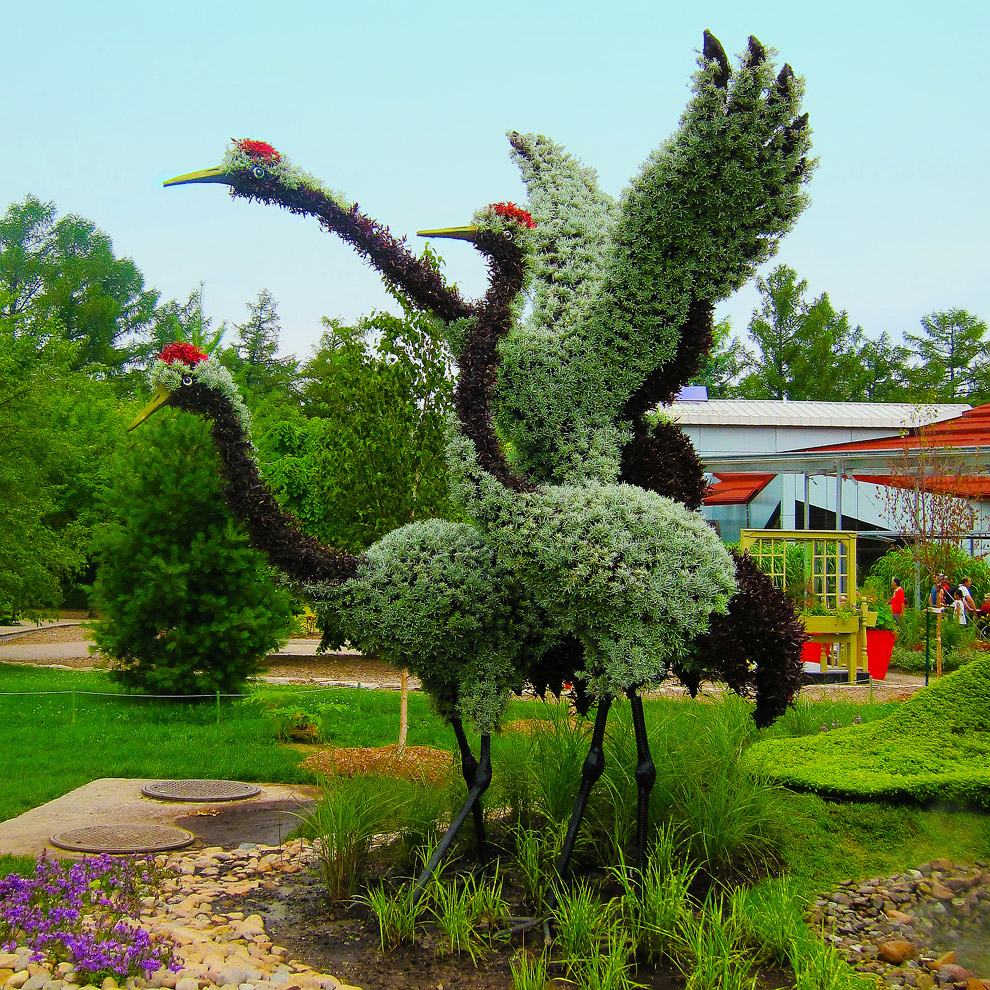 Скульптуры из растений. Международная выставка в Монреале Скульптуры из растений. Международная выставка в Монреале