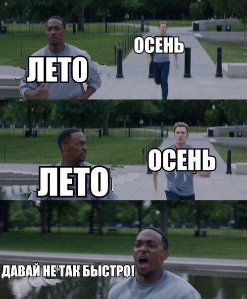 Порция картинок