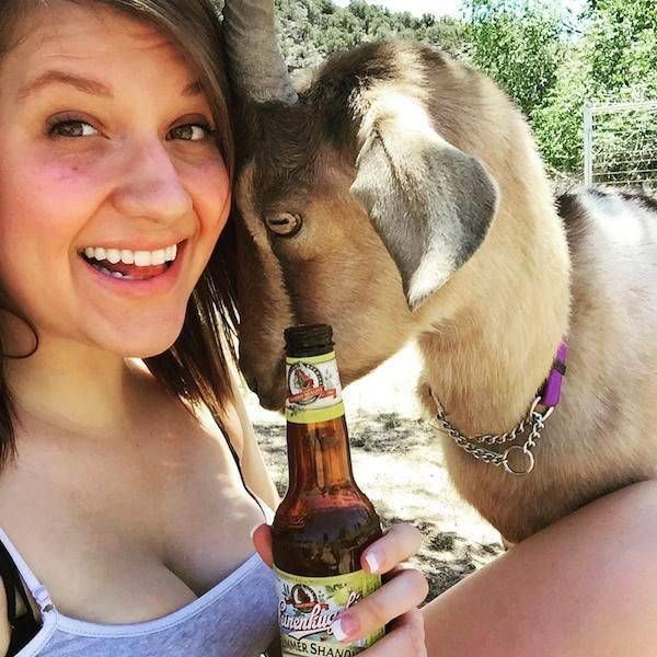 Порция картинок