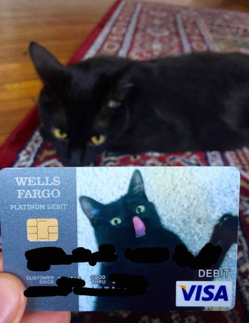 Порция картинок