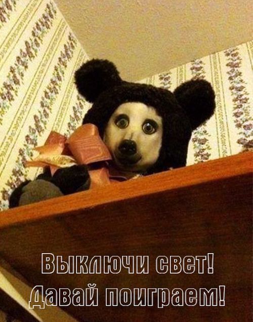 Порция картинок