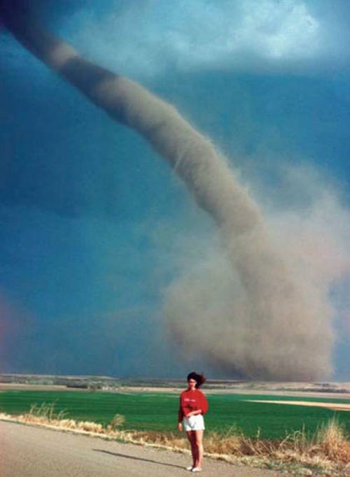 Порция картинок