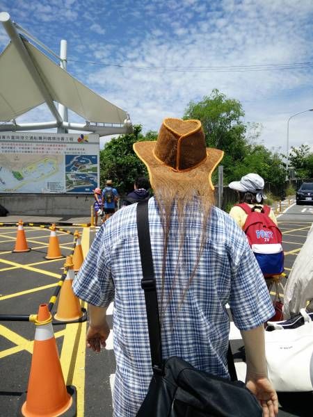 Порция картинок