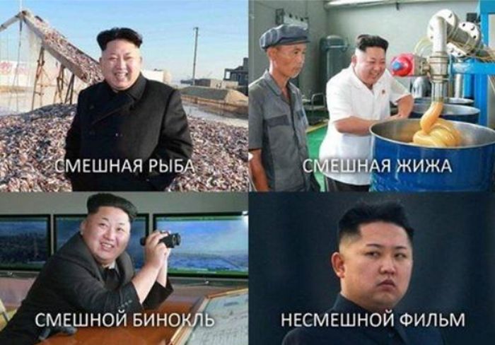 Порция картинок