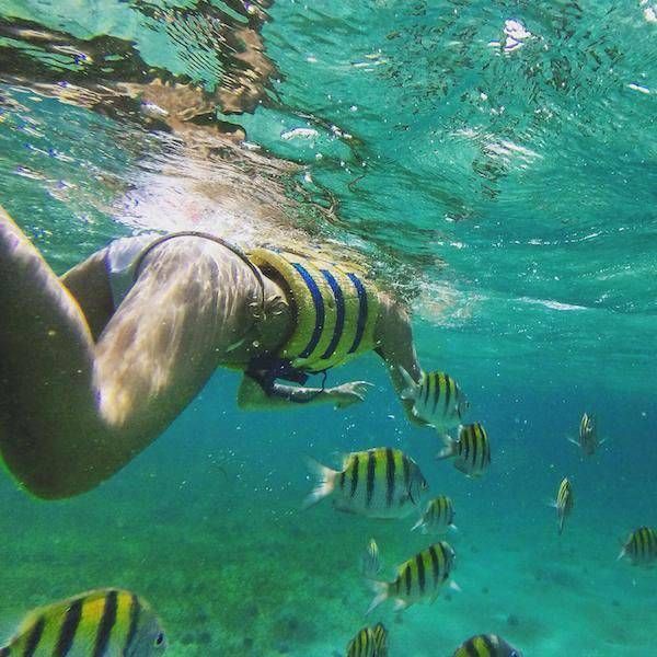 Порция картинок