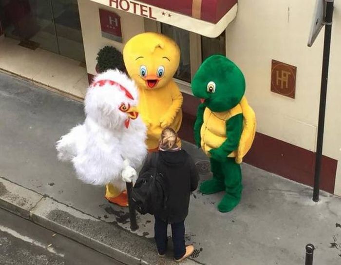 Порция картинок