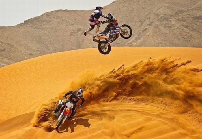 Порция картинок