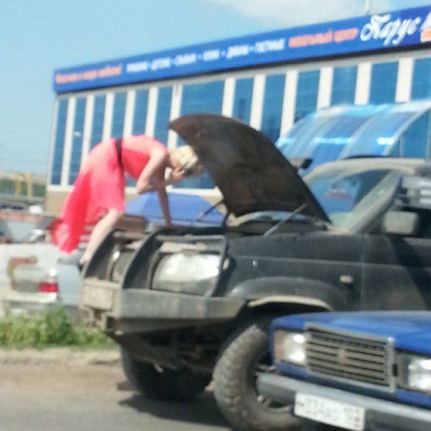 Порция картинок