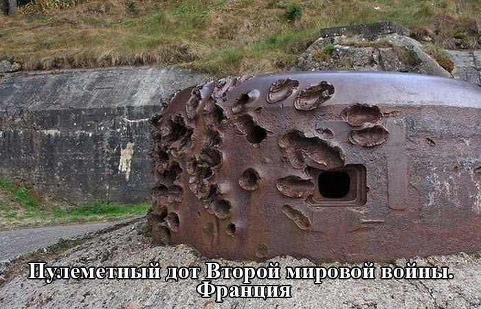 Порция картинок