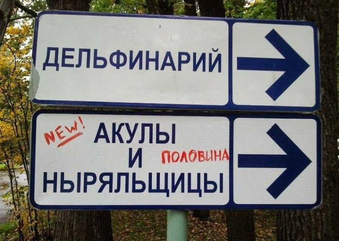 Народные маразмы