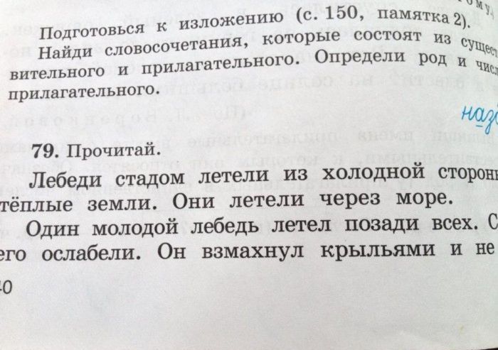 Народные маразмы