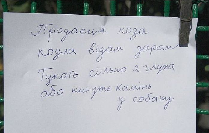 Народные маразмы