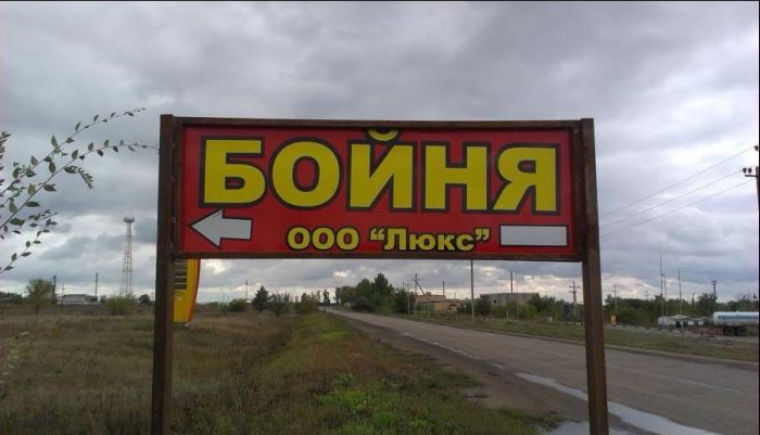 Народные маразмы