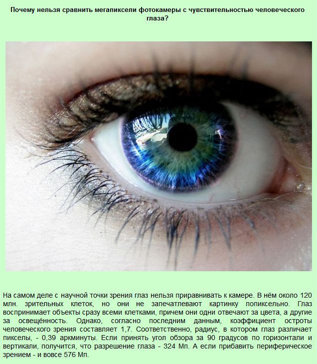 Интересные "почему" (13 фото)