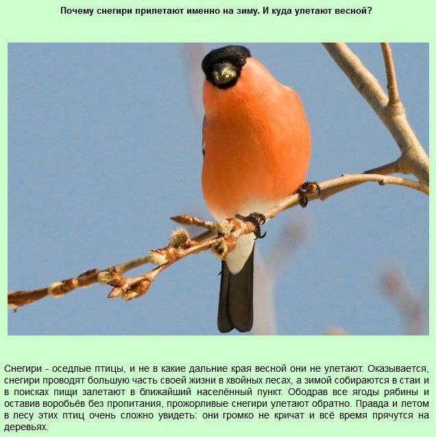 Интересные "почему" (13 фото)