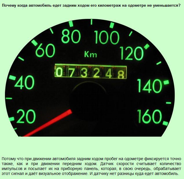 Интересные "почему" (13 фото)