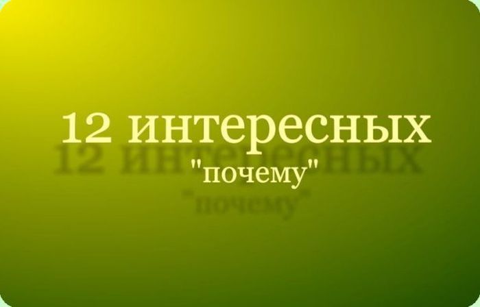 Интересные "почему" (13 фото)