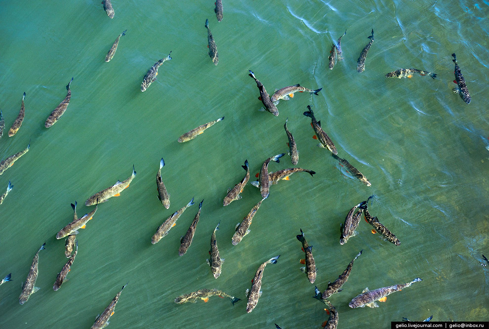Балаковская АЭС – самая мощная АЭС России