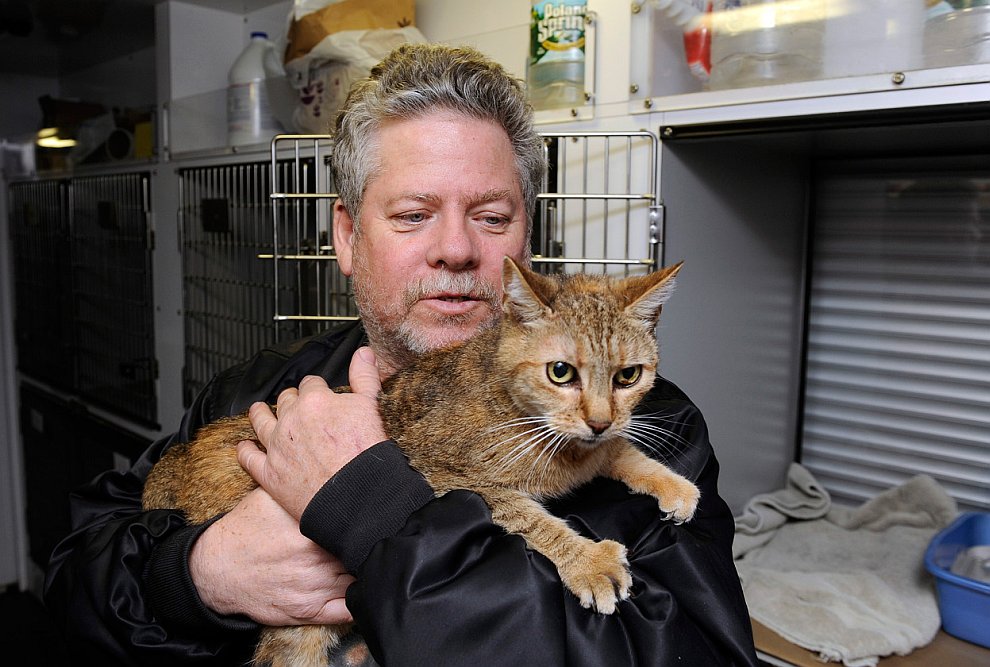 Атлантический ураган Сэнди Атлантический ураган Сэнди