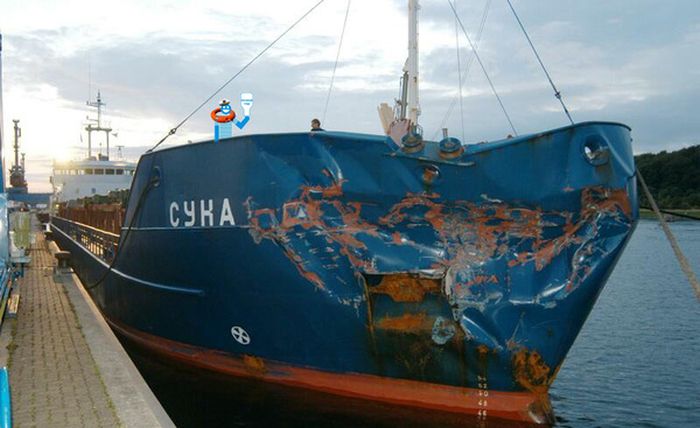 Порция картинок