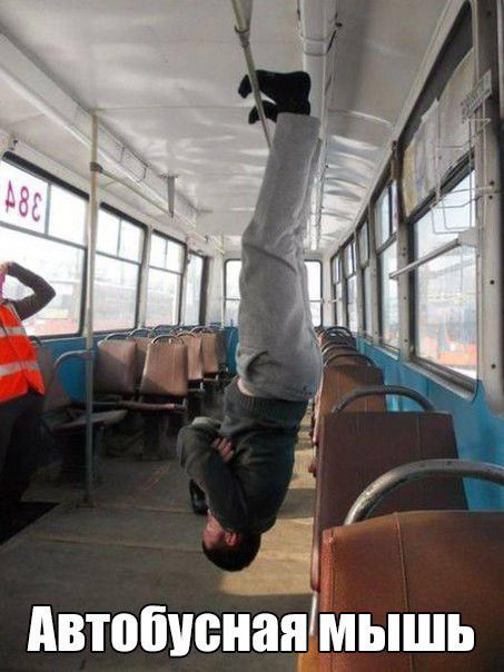 Порция картинок