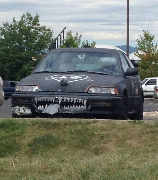 Порция картинок