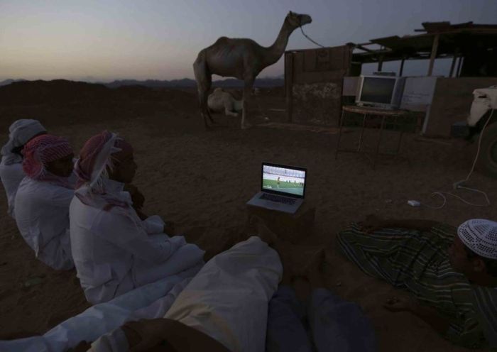 Порция картинок