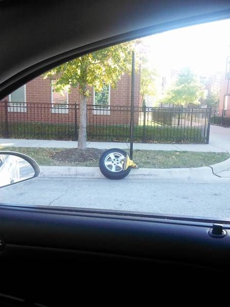 Порция картинок