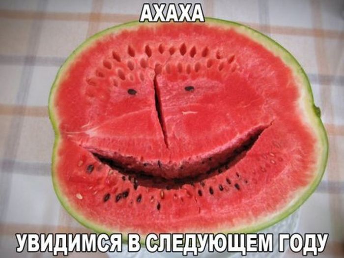 Порция картинок