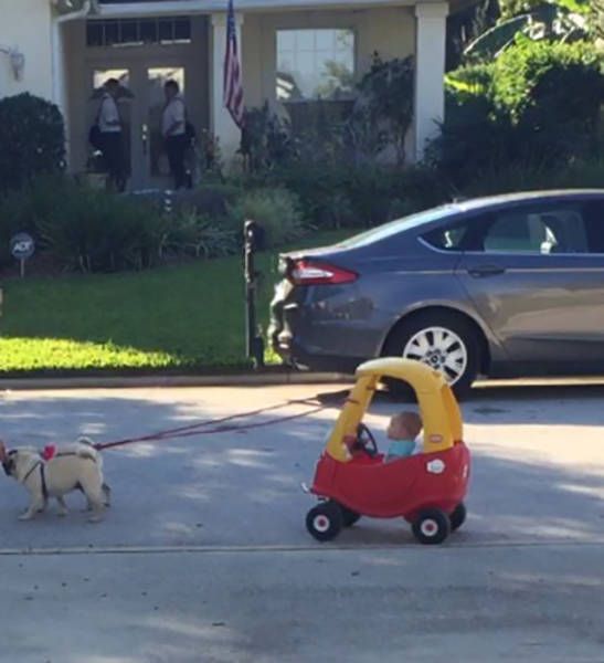 Порция картинок