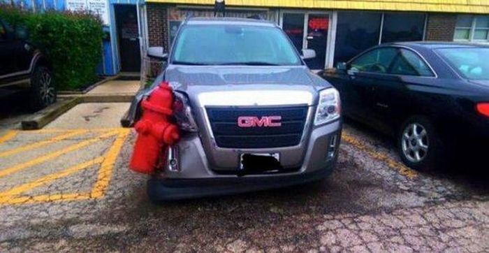 Порция картинок