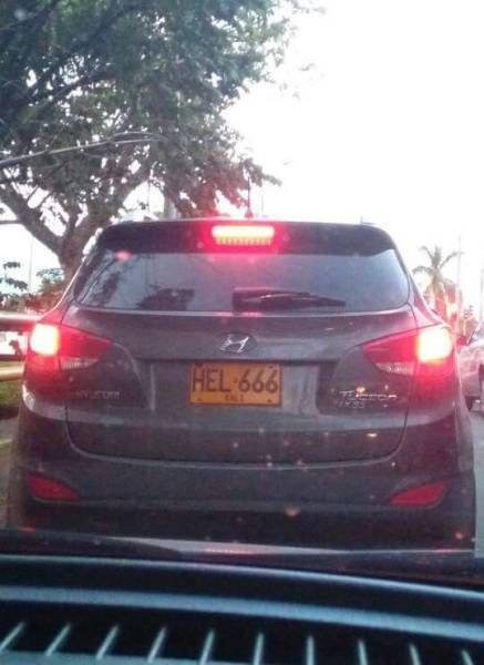 Порция картинок