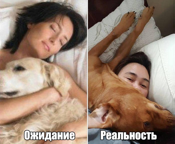 Порция картинок