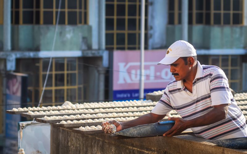 Индиец 10 лет кормит 4000 попугаев