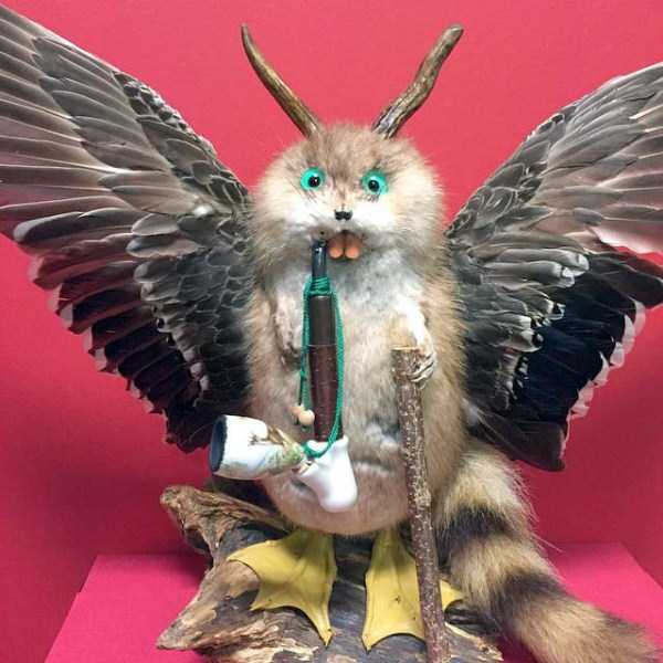 Упоротые таксидермисты