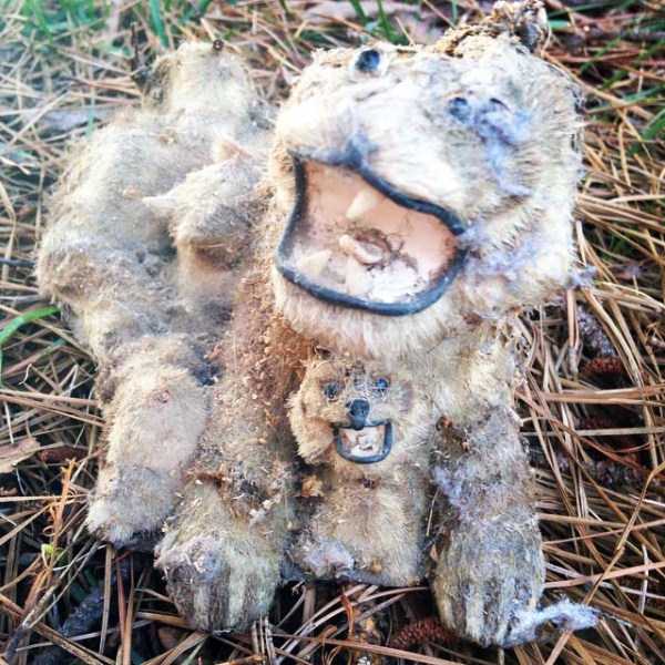 Упоротые таксидермисты