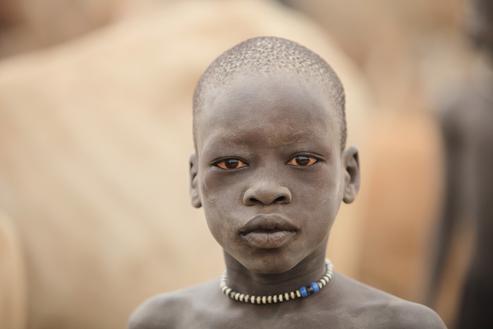 Путешествие вдоль Нила Левисона Вуда