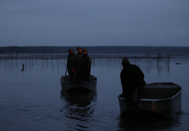 Ежегодная традиционная ловля карпа в Чехии