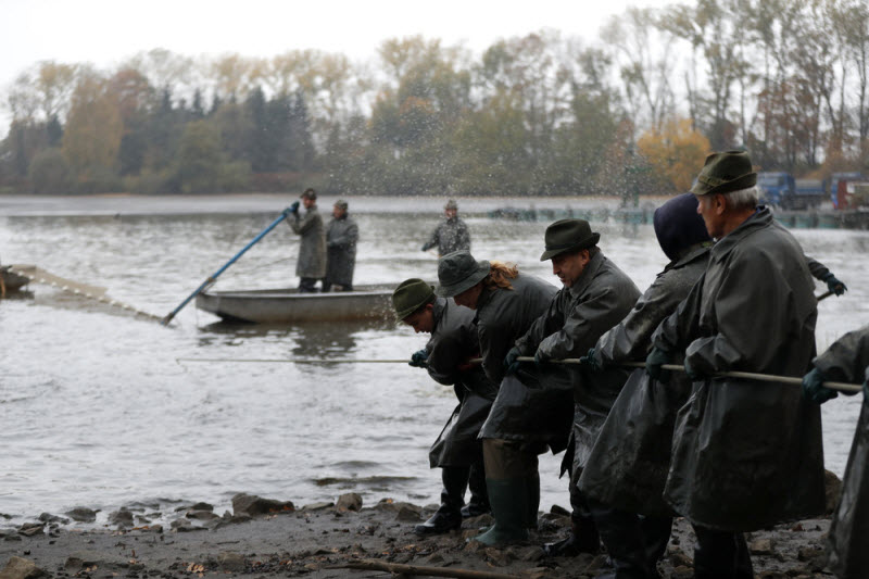 Ежегодная традиционная ловля карпа в Чехии