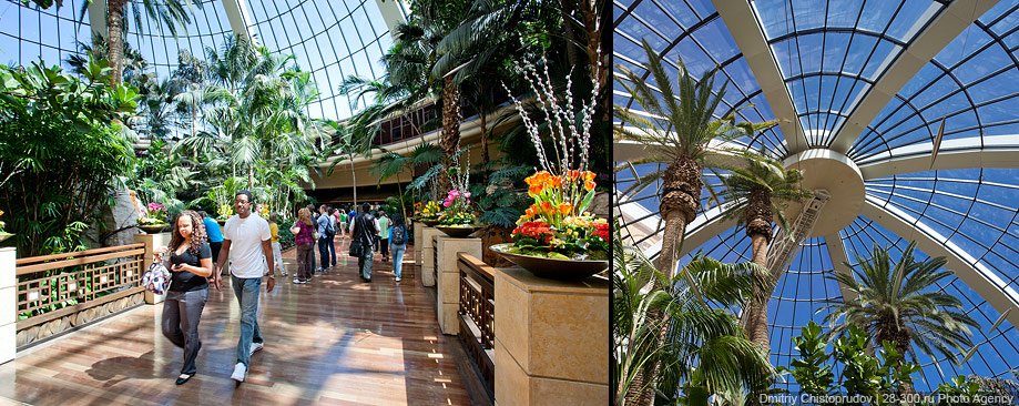 Прогулка по Лас-Вегасу. Часть 2