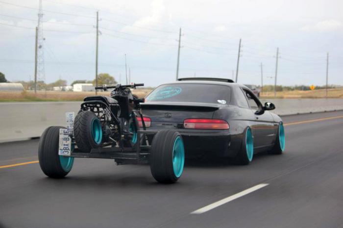 Прикольные картинки