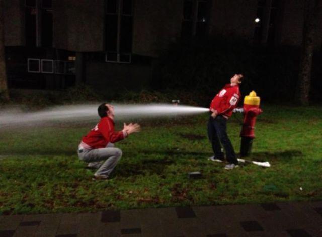 Прикольные картинки