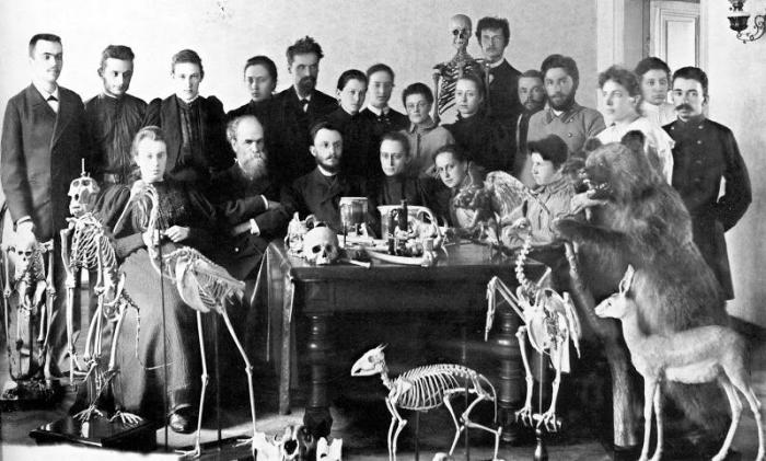 Прикольные картинки