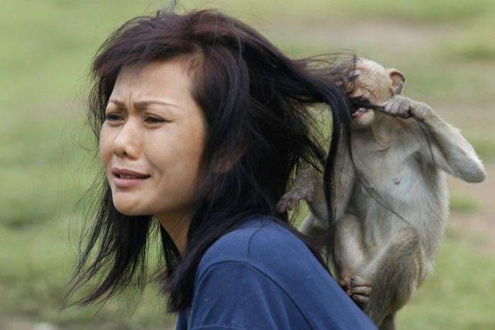 Прикольные картинки