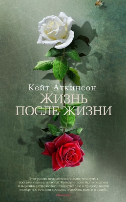 13 главных художественных книг этой зимы 13 главных художественных книг этой зимы