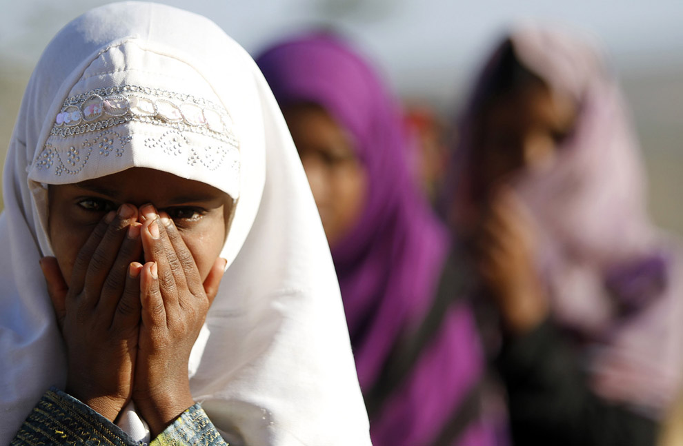 Путешествие на остров Сокотра Путешествие на остров Сокотра