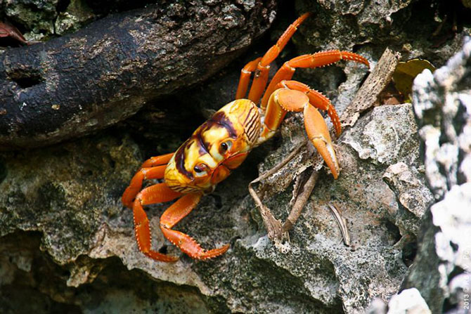 Ответы на странные вопросы, которыми хоть раз задавался каждый