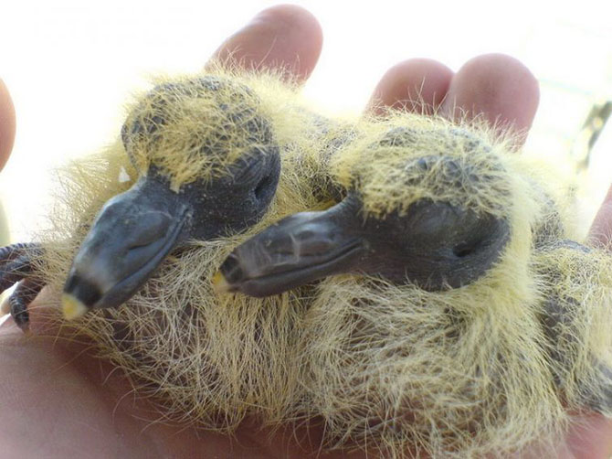 Ответы на странные вопросы, которыми хоть раз задавался каждый