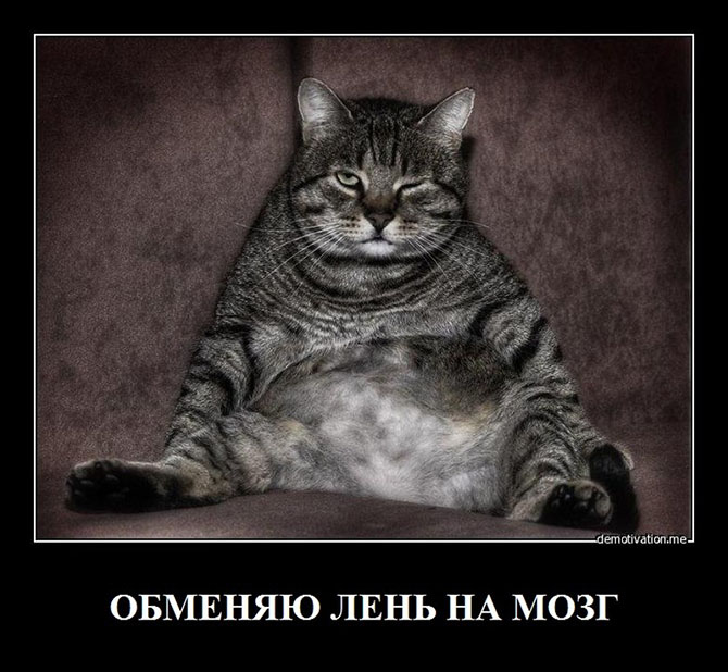 16 жизненных закономерностей