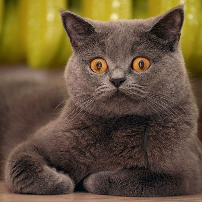 16 жизненных закономерностей